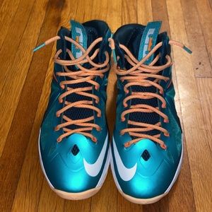 Lebron 10 Miami Dolphins